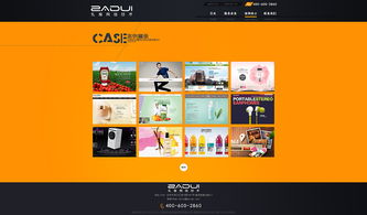 數(shù)字時(shí)代的視覺溝通 網(wǎng)站設(shè)計(jì)與廣告設(shè)計(jì)的融合與挑戰(zhàn)